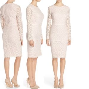 Maggy London Blush Pink Lace Sheath Dress